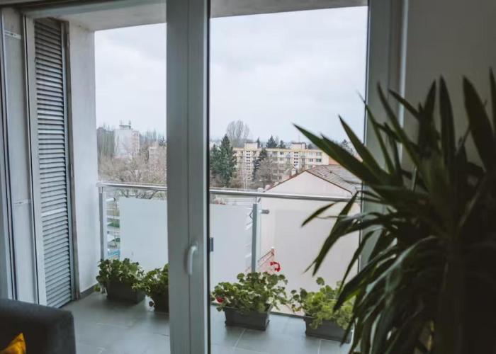 City Studio Apartment