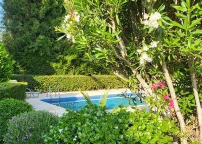Cyprus Coral Bay Best Beach Pool Villa