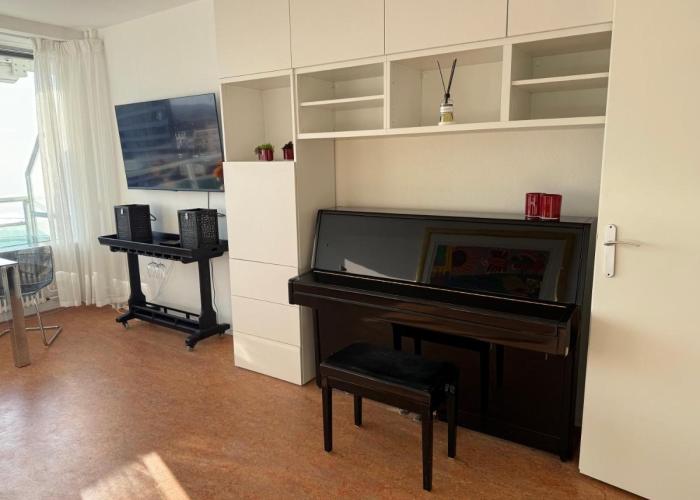 Piano Apartment
