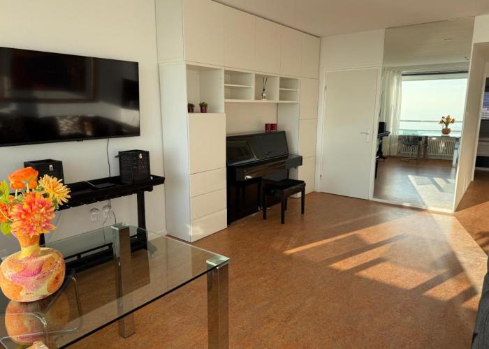 Piano Apartment