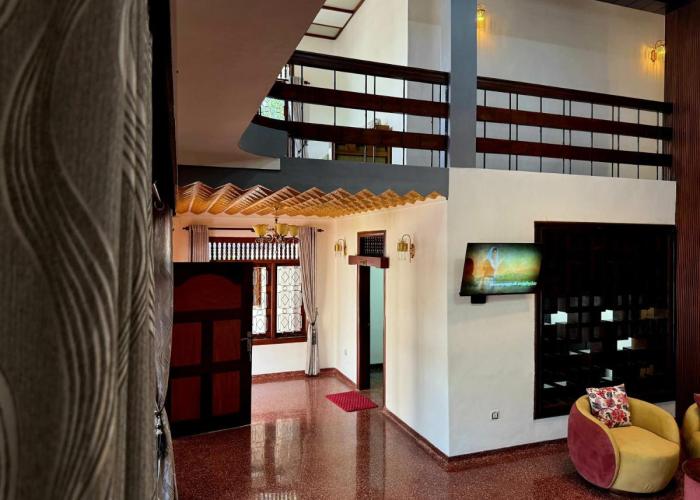 Humming Birds Suites
