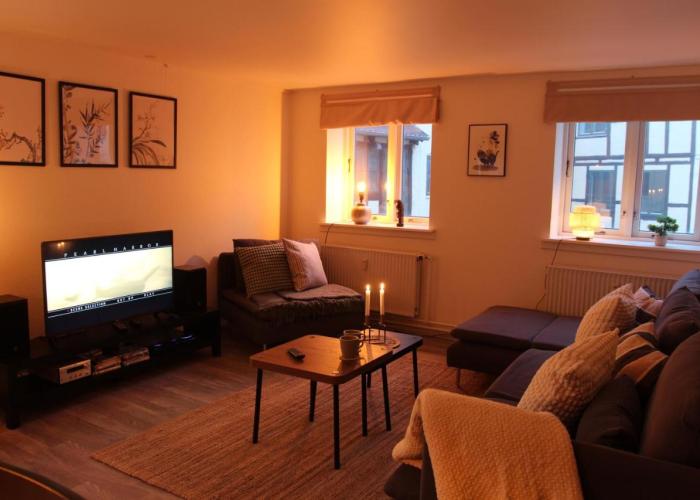 Visit wonderful Odense center - 3 bedroom appartment
