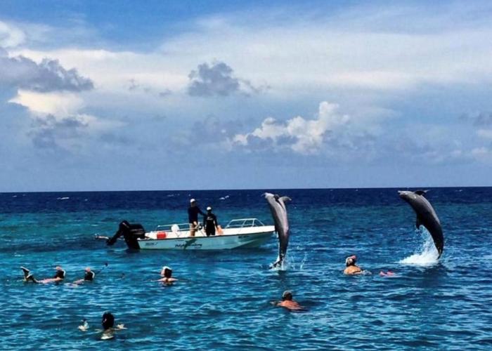 Villa Toucan Curacao