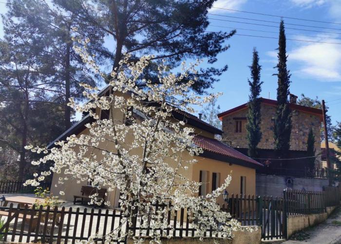 VILLa PERSEPHONE