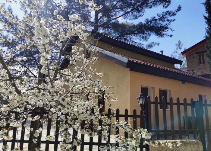 VILLa PERSEPHONE
