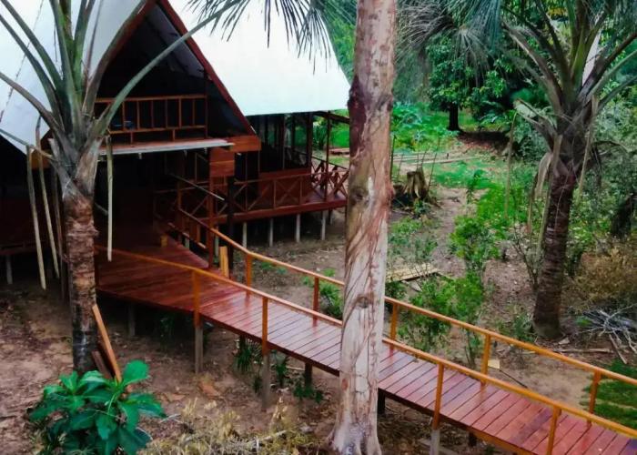 Passiflora Camp