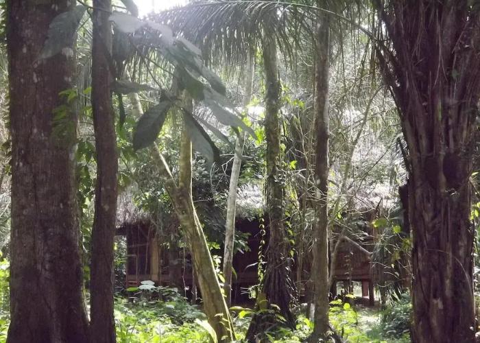 Ecolucerna Lodge Guest House