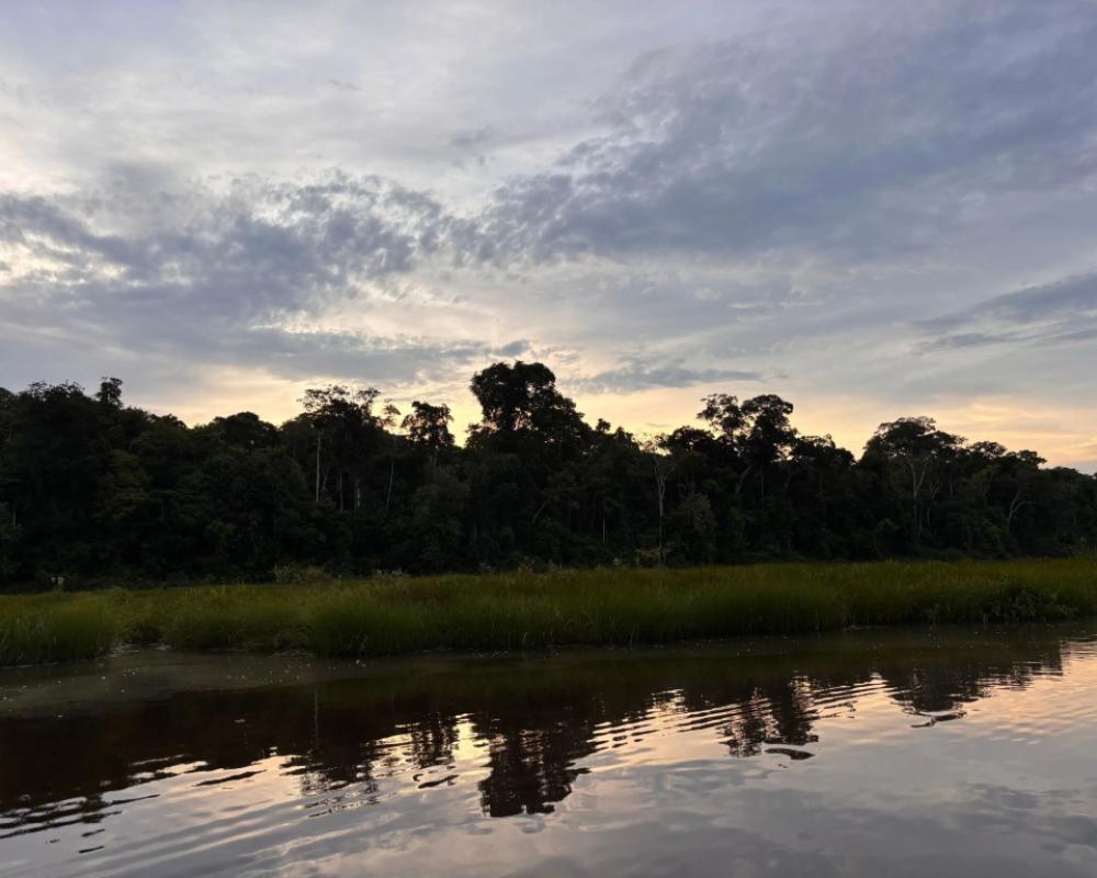 фото Refugio Amazonas Hotel