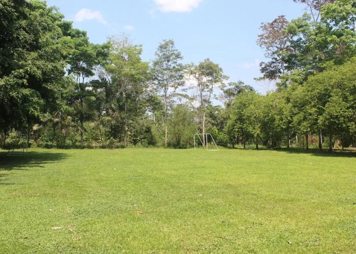 La Habana Amazon Reserve