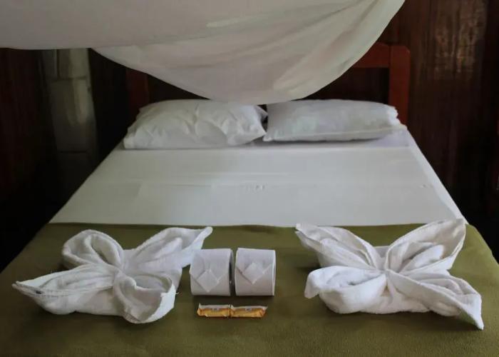 Paradise Amazon Lodge & Adventure