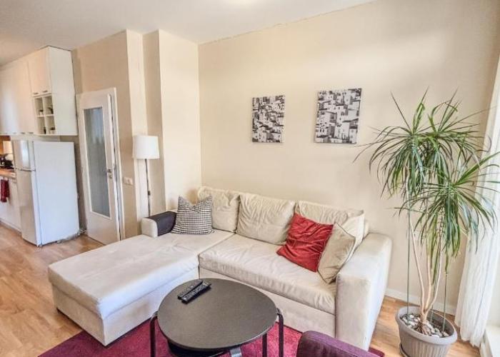Scandi Suite Business & Leisure