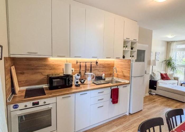Scandi Suite Business & Leisure
