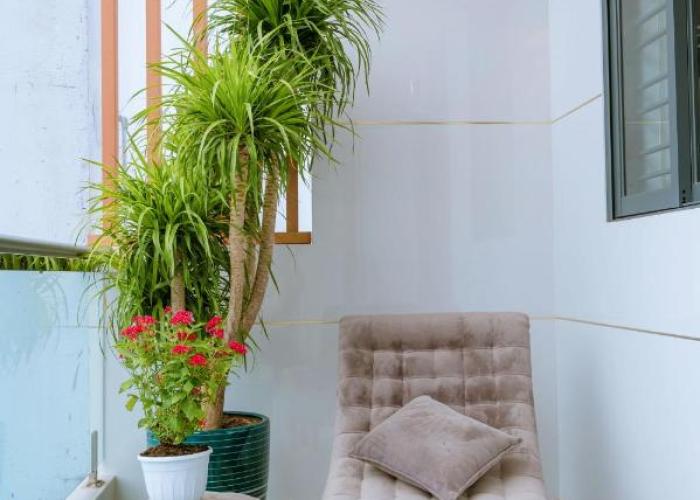 Cherry Villa - Biệt Thự View Biển Cao Cấp Lagi Bình Thuận