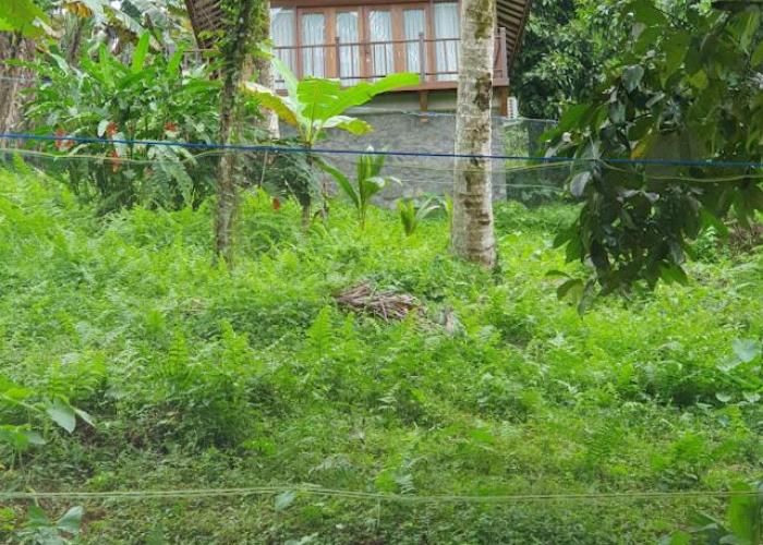 Tulang House Estate