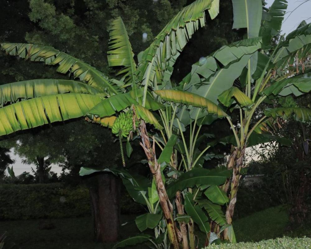 фото hostPoa