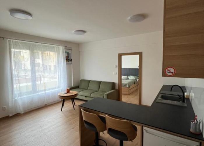 Apartment Bayerova