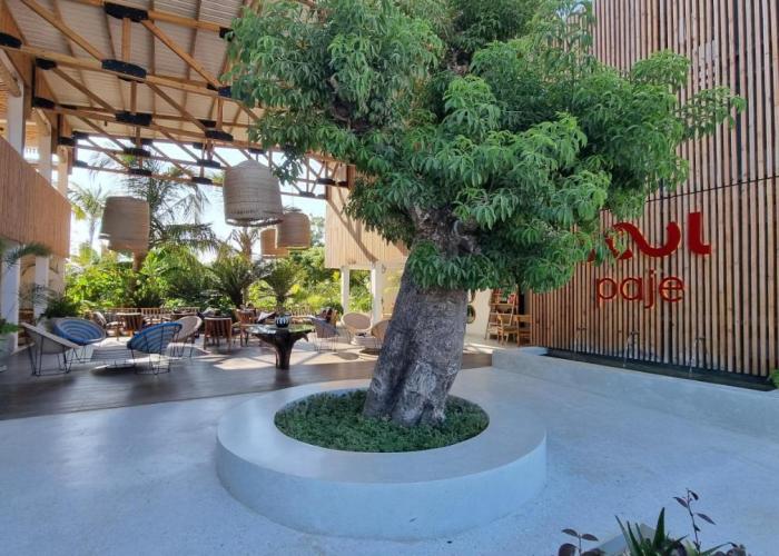 Tropical Haven Apartment at The Soul, Paje