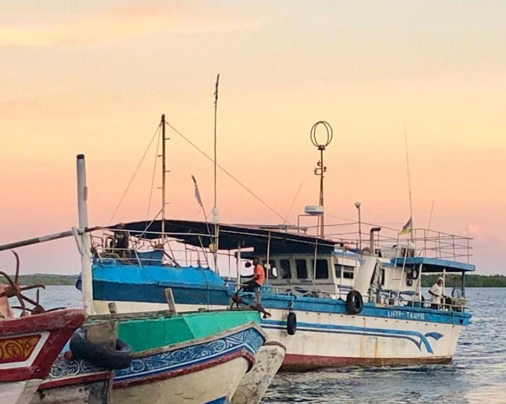 фото Baytulkher