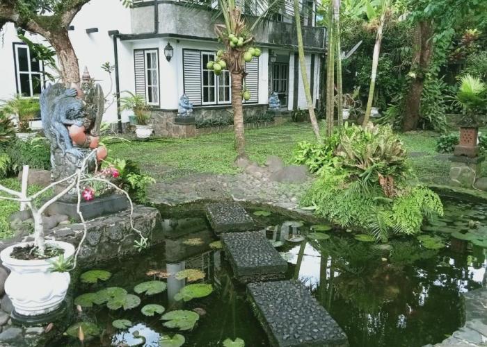 Adams homestay