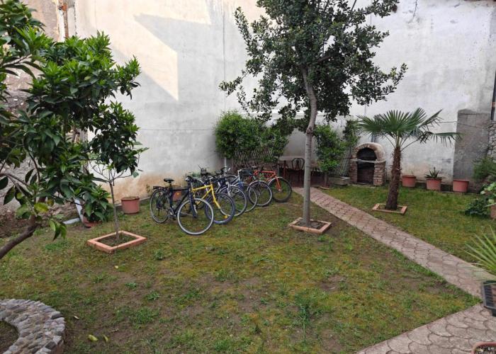 Bliss Inn Hostel & Tours