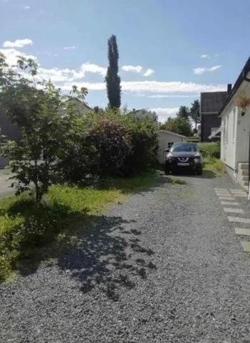 Beautiful spacious home w garden