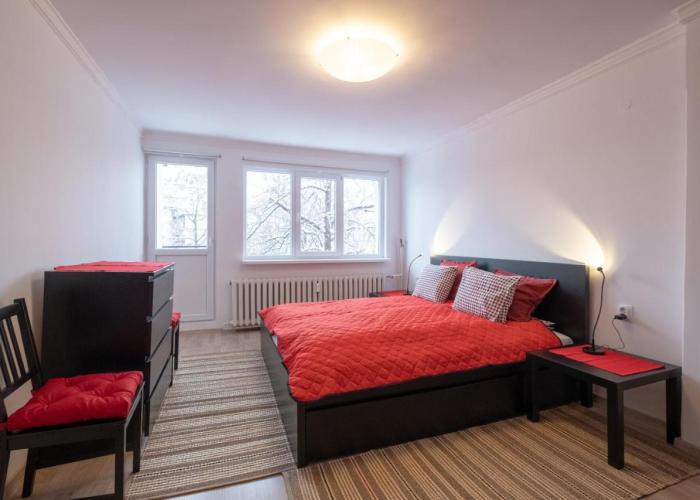 LZ Spacious One Bedroom Apartment in Top Centre