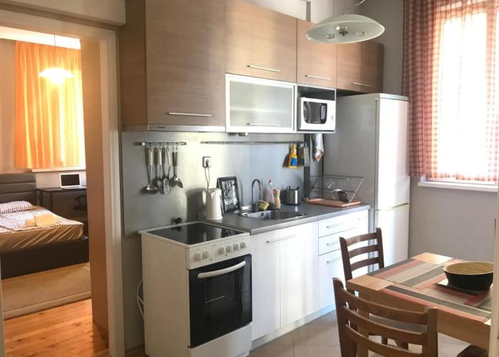 Beautiful Business Apartment - Ivan Denkoglu Street