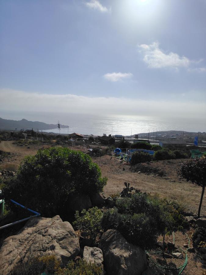 фото El arrayán costero