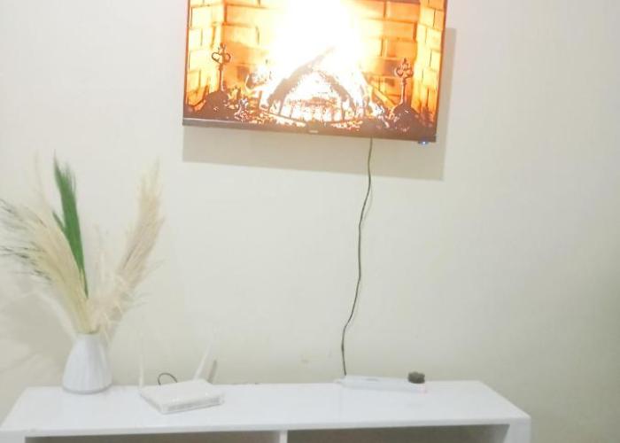 Vee's urban nest