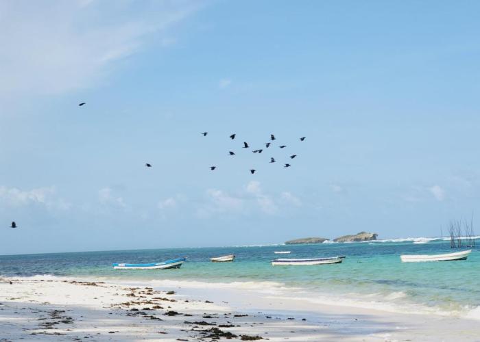 Charlie's PlaceWatamu
