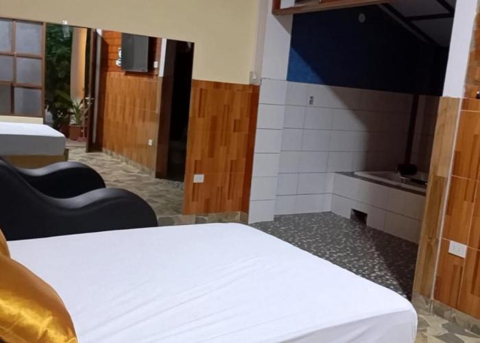 La puzanguita suite