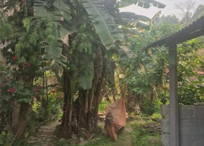 Sagar guest house