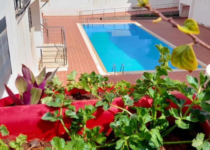 Safari Stay Appart front mer avec piscine