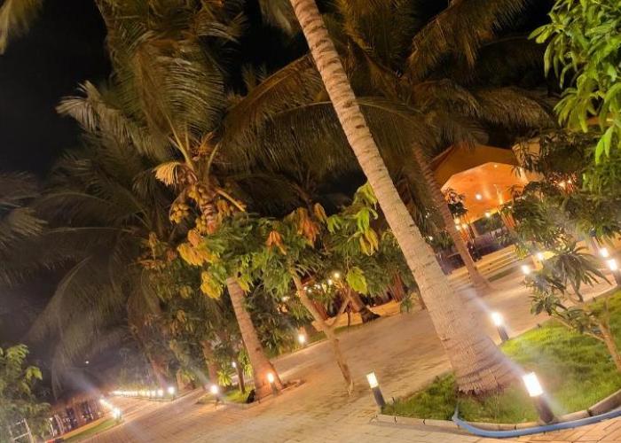 Mango Mansion