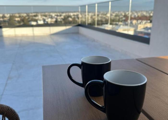 Lux Level 4 Penthouse Tower 206