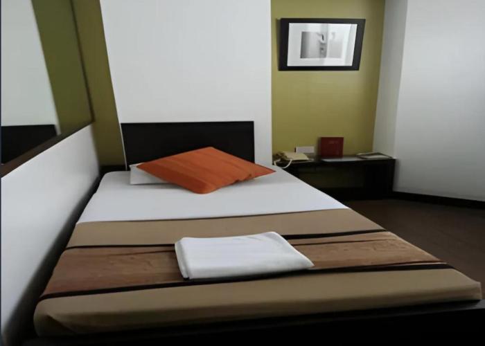 Hotel Mikka