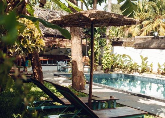 Paddle Cult Surf & Yoga