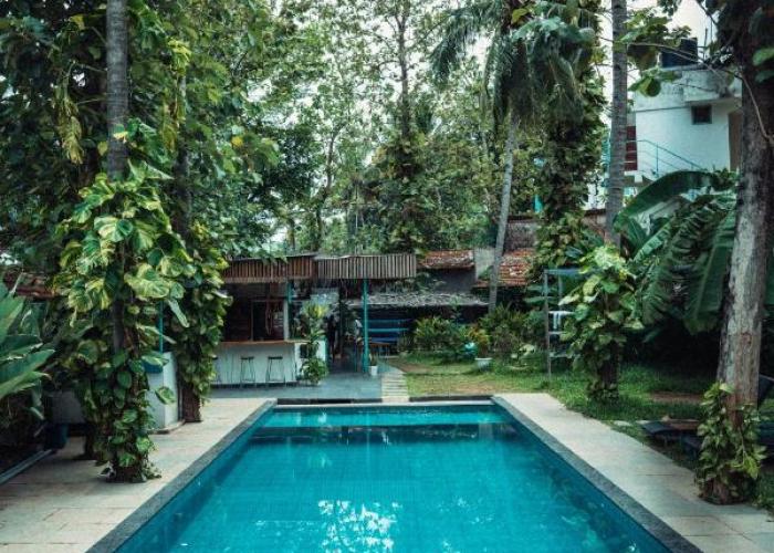 Paddle Cult Surf & Yoga