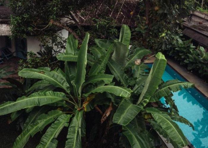 Paddle Cult Surf & Yoga