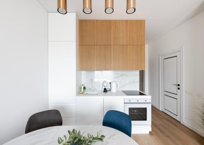 City Center Apartamentai Šatrijos g