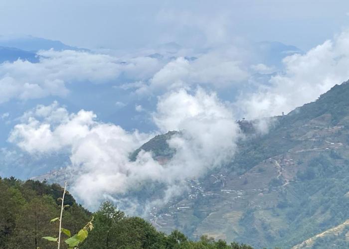First Nature Homestay