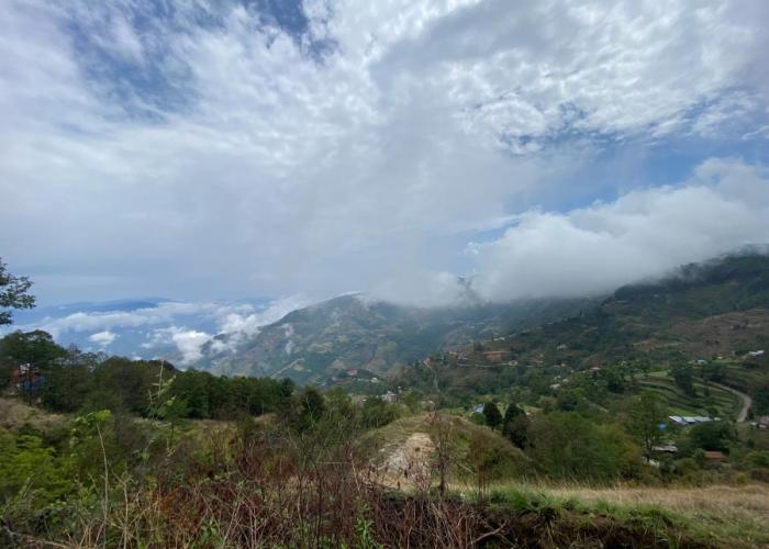 First Nature Homestay