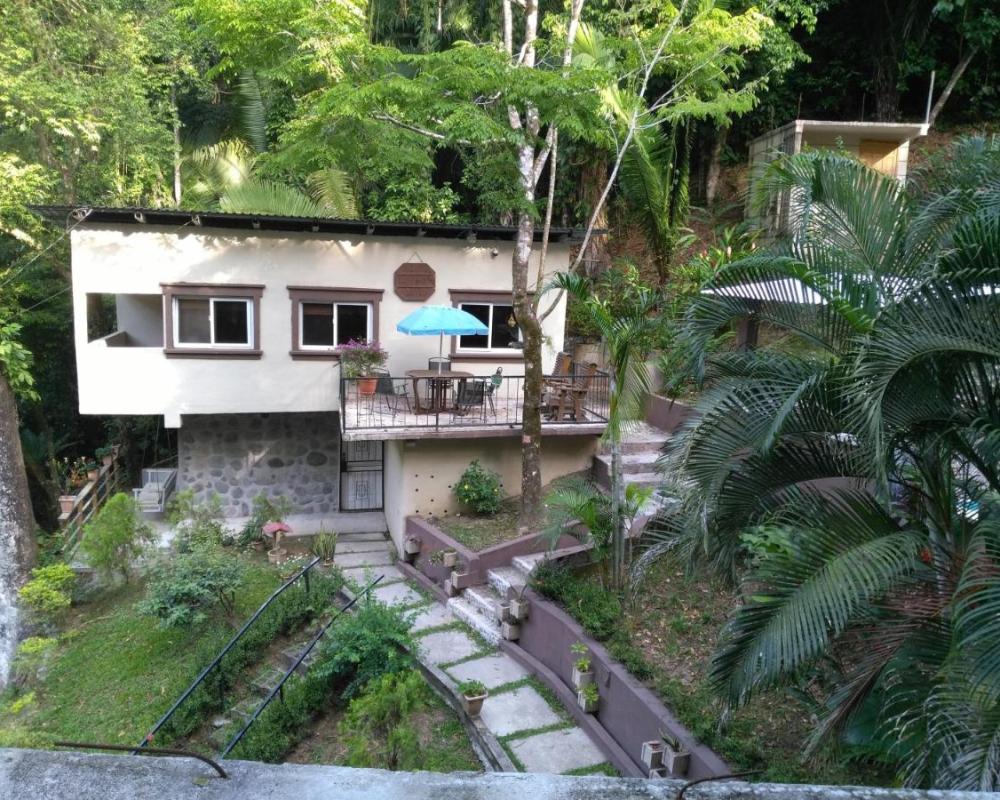 фото Villa Sofia