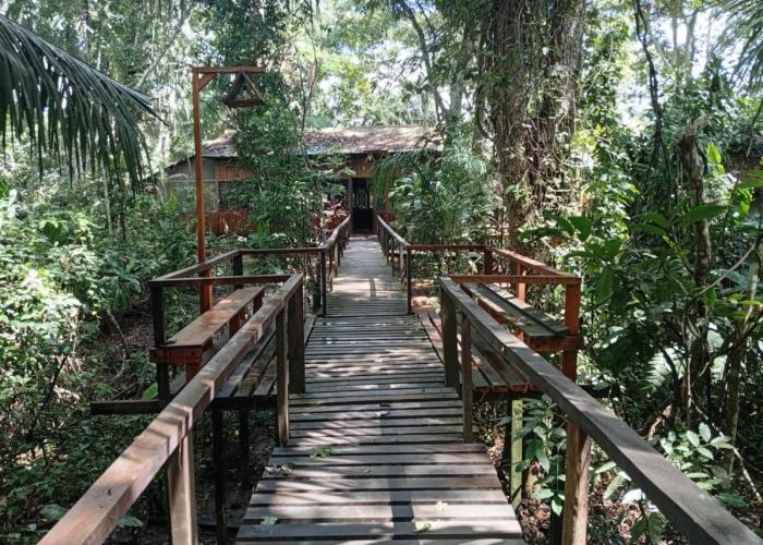 Lodge Parayso -Tambopata