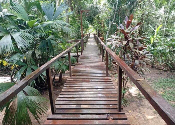 Lodge Parayso -Tambopata