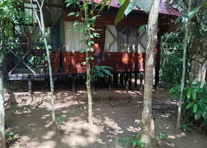Lodge Parayso -Tambopata
