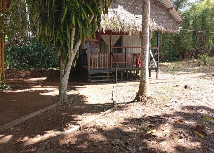 Lodge Parayso -Tambopata