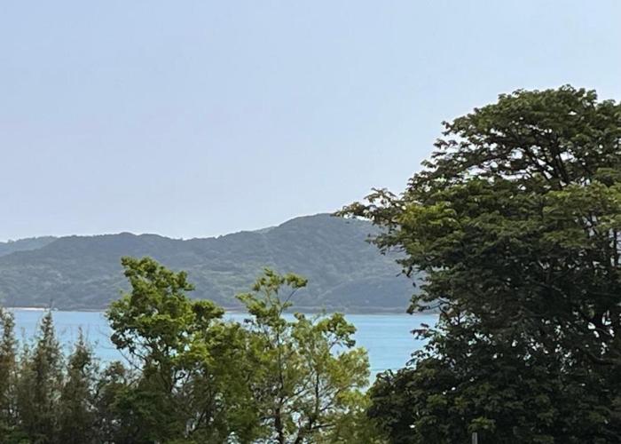 Buena Vista Villa Amami