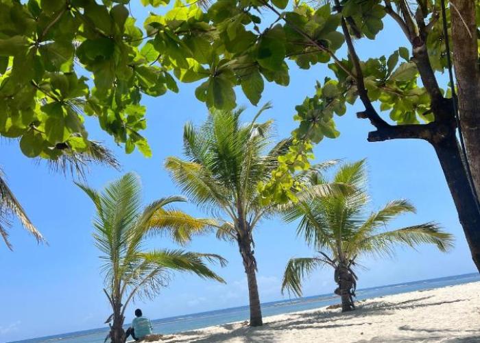 Golden Beachfront Studios Diani