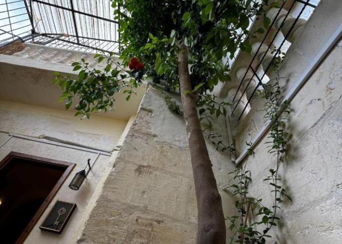 Historic Stone Mansion